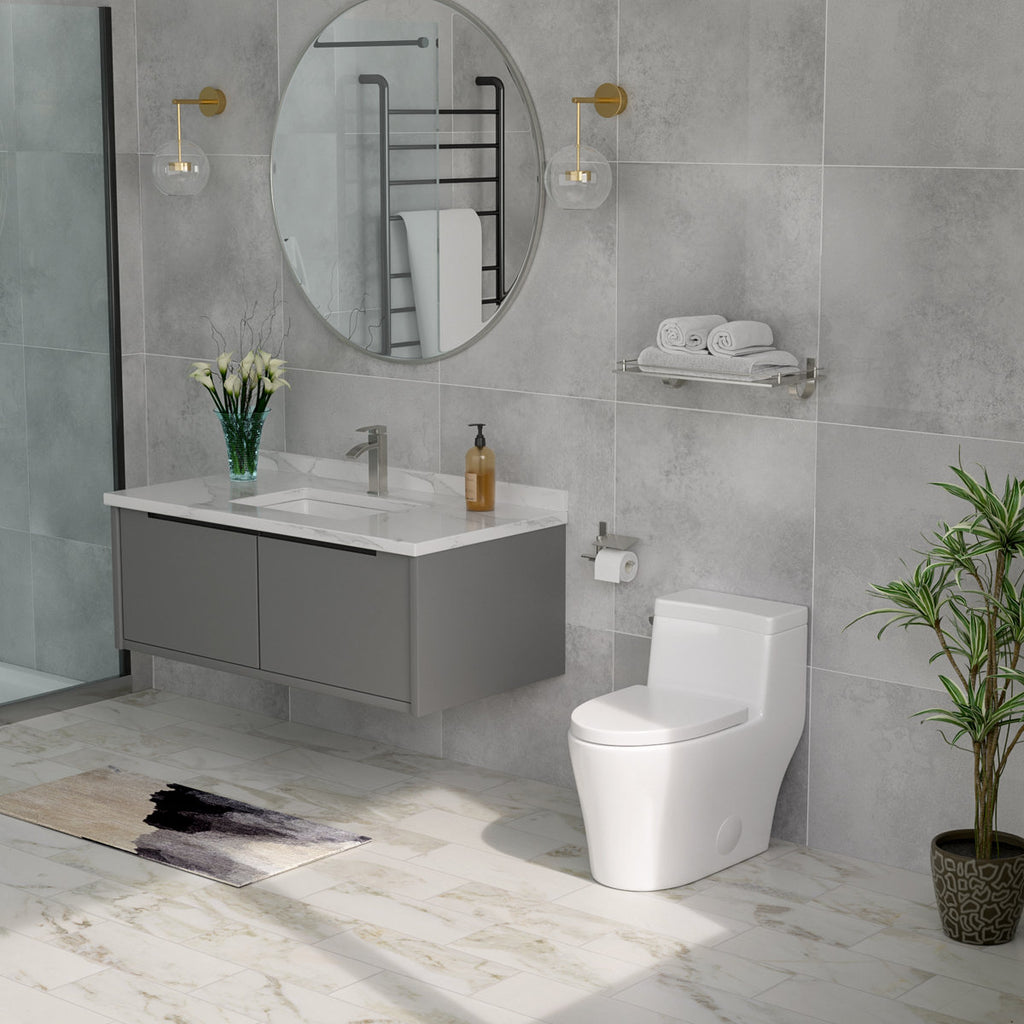 1.1/1.6 GPF Dual-Flush Elongated One-Piece Toilet with Comfort Seat Height and Ceramic Glazed Surface(Soft Close Seat Included)