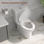 18'' Comfort Height Standard Toilet, Dual-Flush Modern Elongated One-Piece Toilet with Glazed Surface (Seat lncluded)