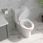 18'' Comfort Height Standard Toilet, Dual-Flush Modern Elongated One-Piece Toilet with Glazed Surface (Seat lncluded)