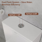 18'' Comfort Height Standard Toilet, Dual-Flush Modern Elongated One-Piece Toilet with Glazed Surface (Seat lncluded)