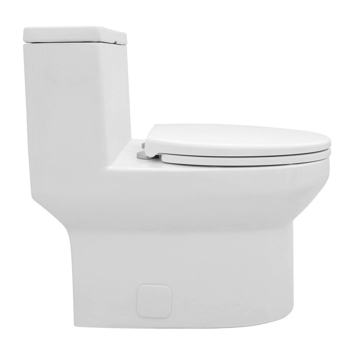18'' Comfort Height Standard Toilet, Dual-Flush Modern Elongated One-Piece Toilet with Glazed Surface (Seat lncluded)