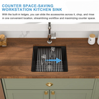 Logmey 17" Undermount Quartz Workstation Kitchen Sink - Black