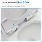 Logmey Elongated One Piece Toilet - White Siphonic Comfort Height