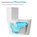 Logmey Elongated One Piece Toilet - White Siphonic Dual Flush